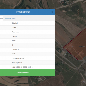 TARLA_SATILIK TUZLA_İSTANBUL